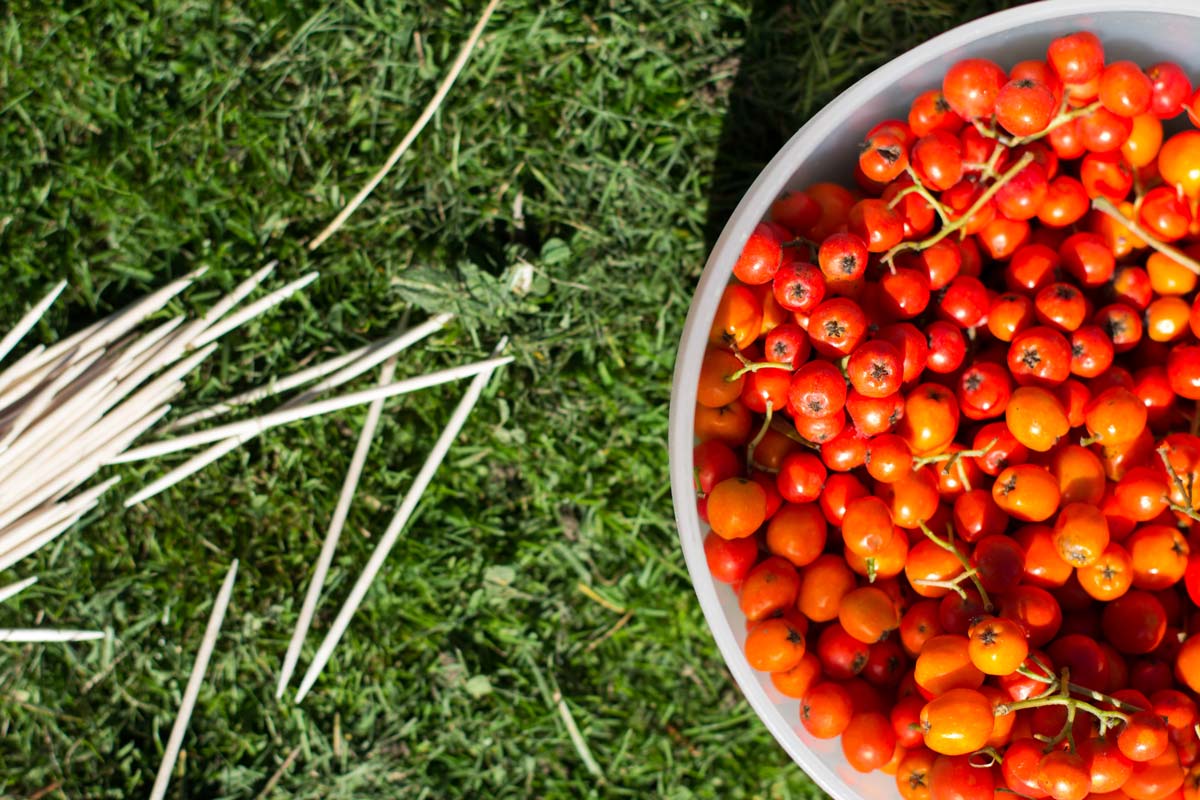 Toothpicks lying on grass and orange rowan berries in a pot. 