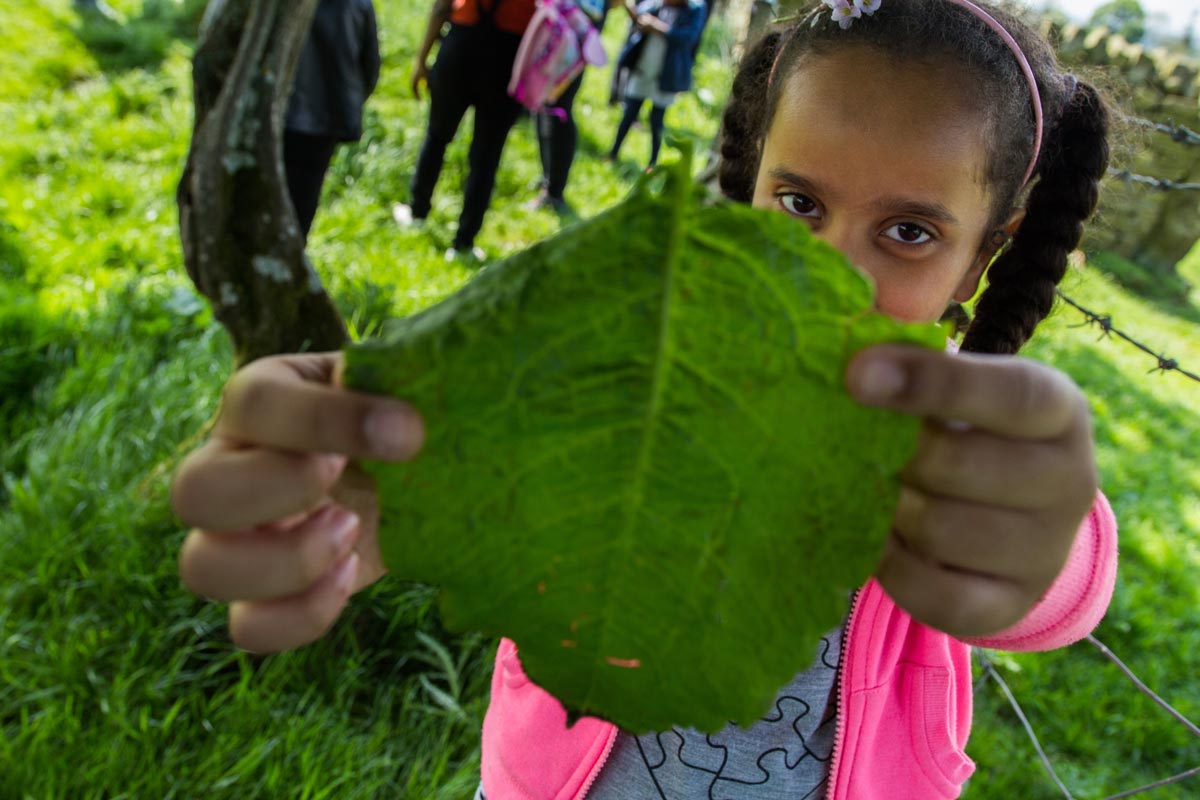 A young girl showing a big leaf. 