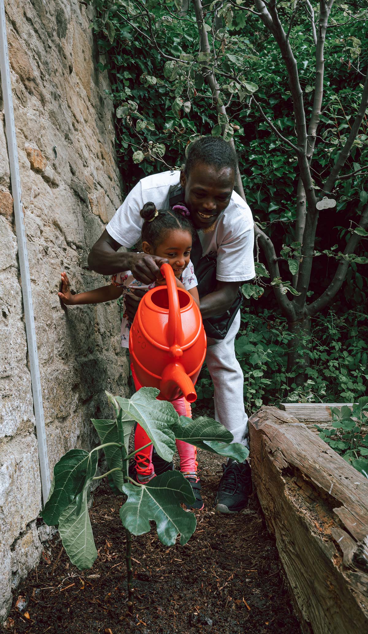 A man and a child watering a young tree.