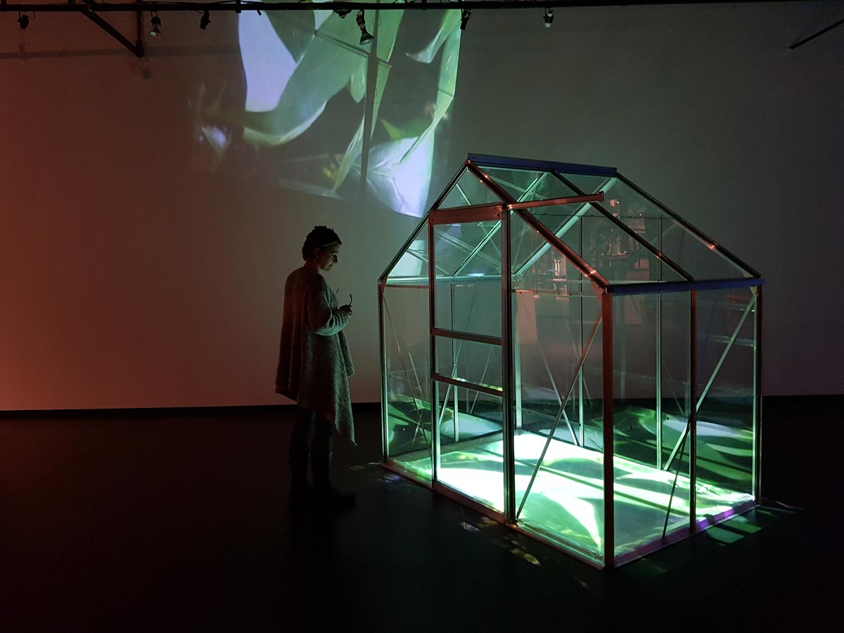 A person looking at greenhouse and projections.