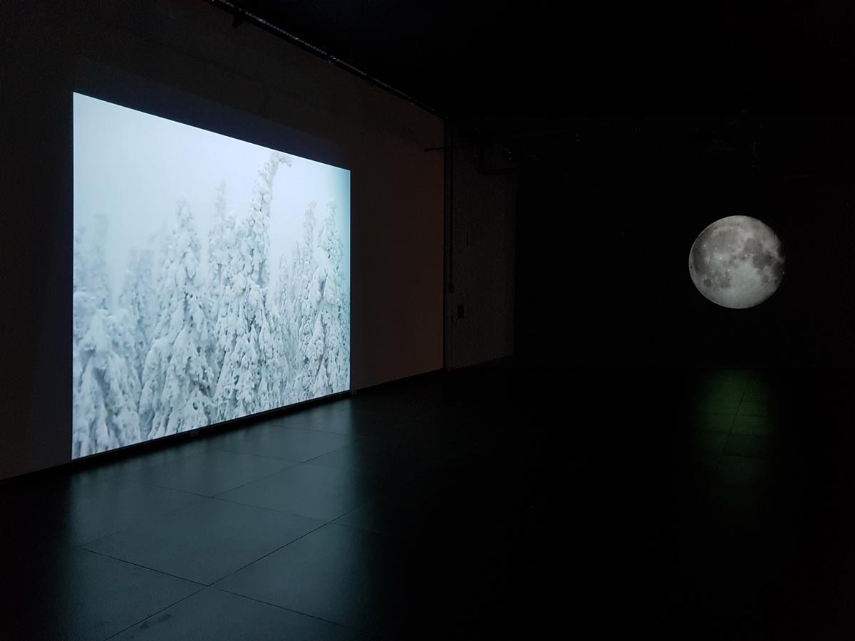 Two video projections; The Moon, and, a pine forest covered in snow.