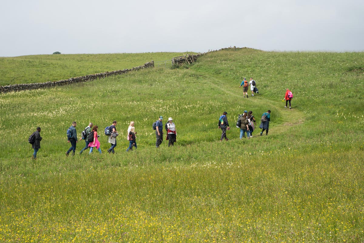 A group walking in Northumberland National Park.