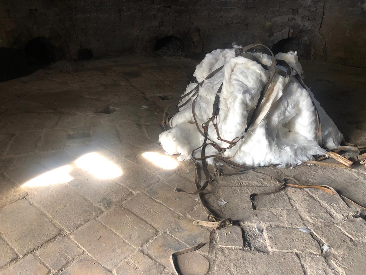 Art installation that consists of swan feathers stitched together, horse harnesses and cotton on a stone surface. 