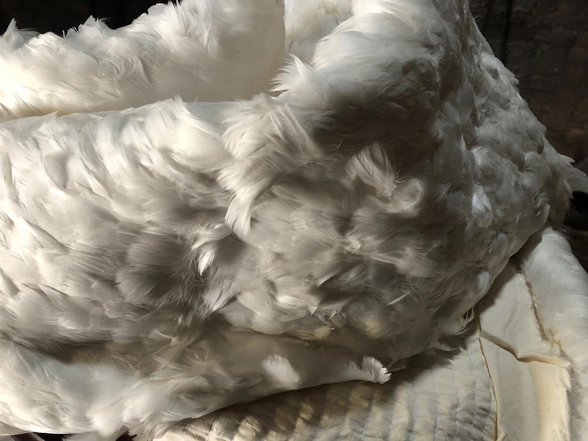 Swan feathers stitched together on cotton duvet.